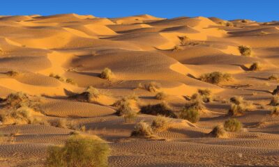 Facts About Deserts
