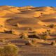 Facts About Deserts